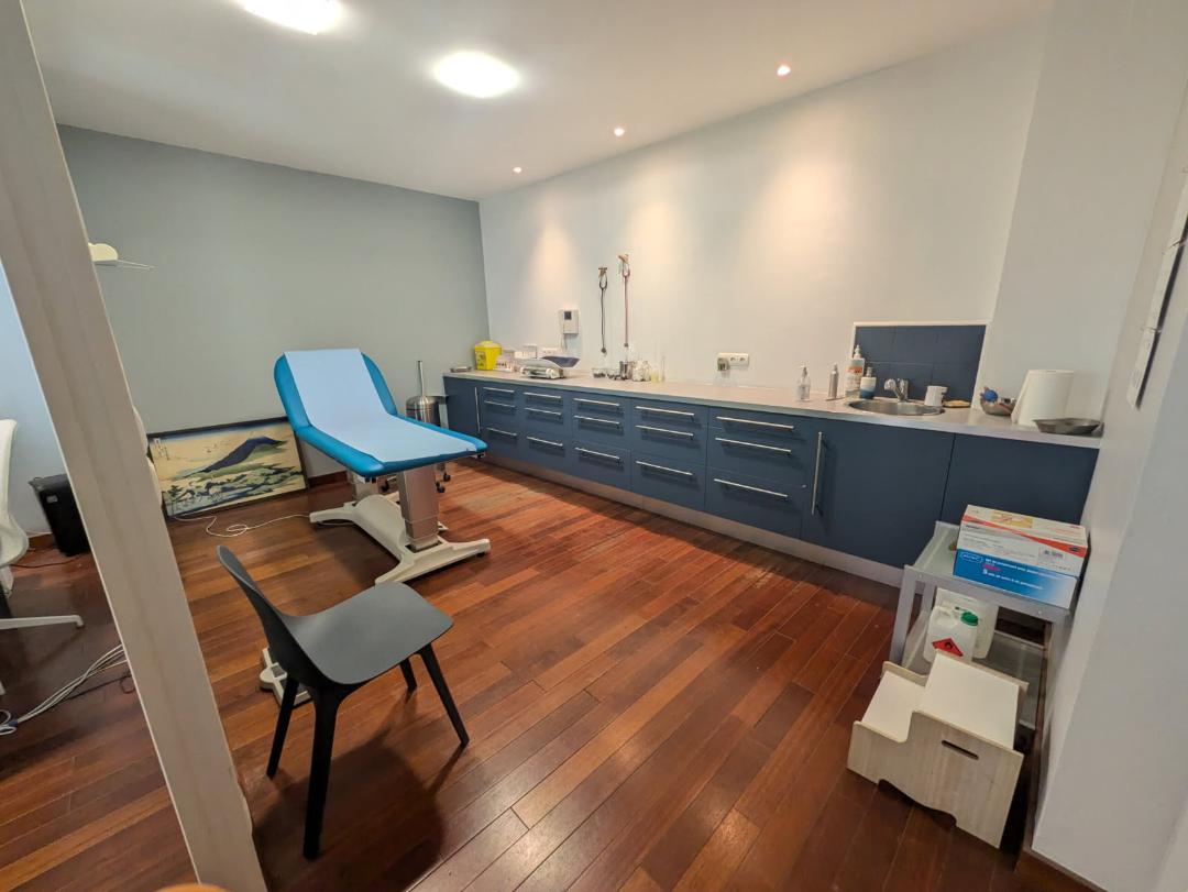 Local Professionnel Dijon Centre Ville